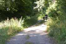 DSCF1157