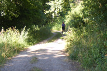 DSCF1160