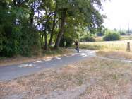 DSCF0676