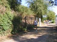 DSCF1157