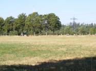 DSCF1181